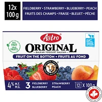 Astro Original Yogourt Fruits au fond Pêche, Fraise, Bleuet, Fruits des Champs 4 % 16x100g