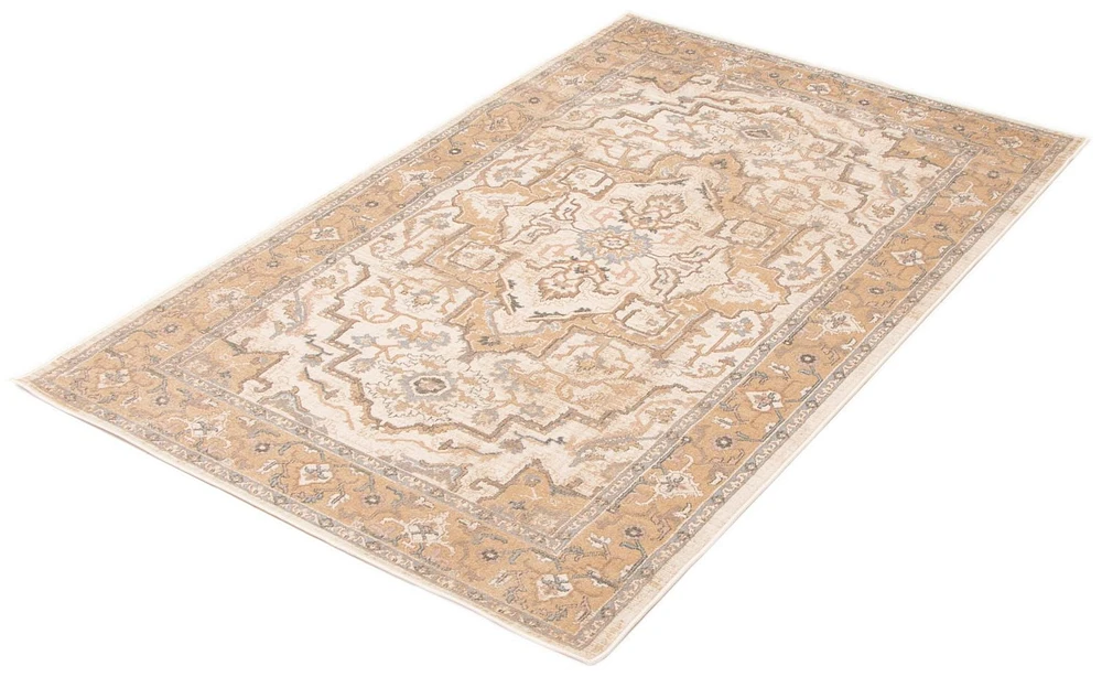 ECARPET Stassie 5'0" x 8'0" Traditional Area Rug for Living Room, Bedroom, Dining Room, Entrance, Hallway and More.