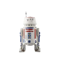 Star Wars The Black Series R5-D4, Star Wars: The Mandalorian 6-Inch Action Figures, Ages 4 and Up