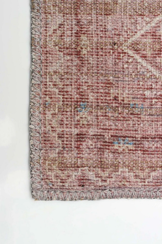 ECARPET Persian Style Area Rug, Turkoman Indoor Carpet, Eco Friendly, Machine Washable
