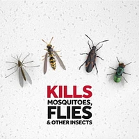 Insecticide Raid contre les moustiques et les mouches, tue les insectes en question au contact, pour utilisation à l’intérieur et à l’extérieur 350g