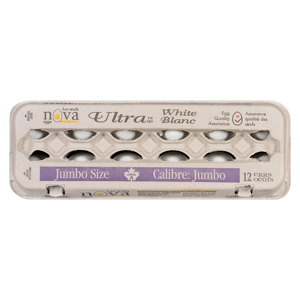 Nova Ultra oeufs blancs compte de 12