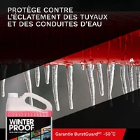 WinterProof™ - All Purpose Water System Antifreeze with BurstGuard™ Guarantee -50°C, Plumbing Antifreeze 9.46 L