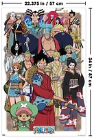 One Piece - Alliance Wall Poster, 22.375" x 34"