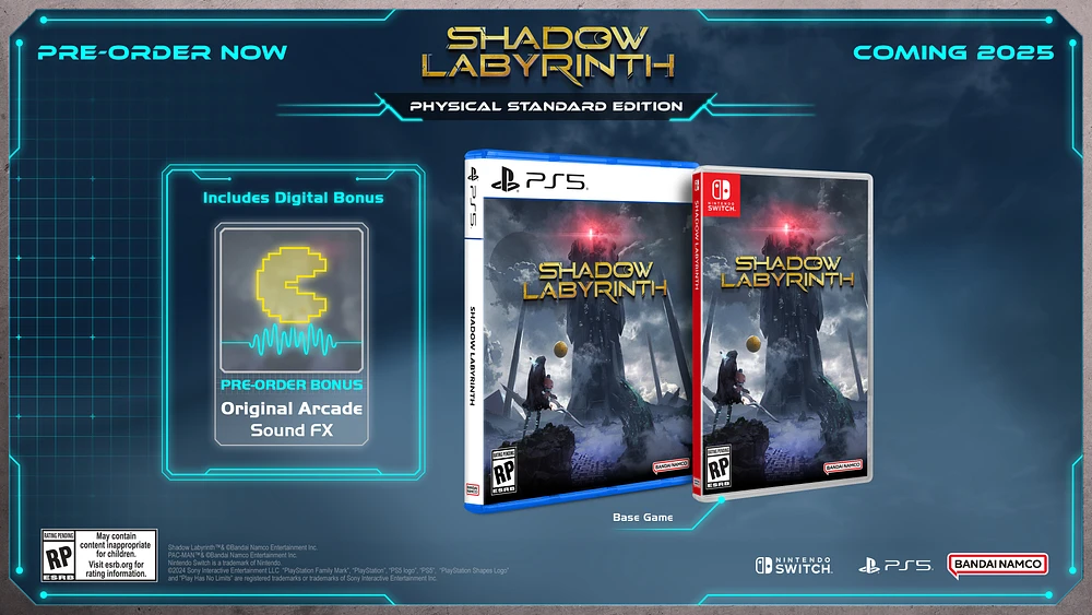 Jeu vidéo Shadow Labyrinth pour (NSW)