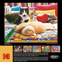 Casse-tête Kodak de 550 pièces - Casse-tête Chatons