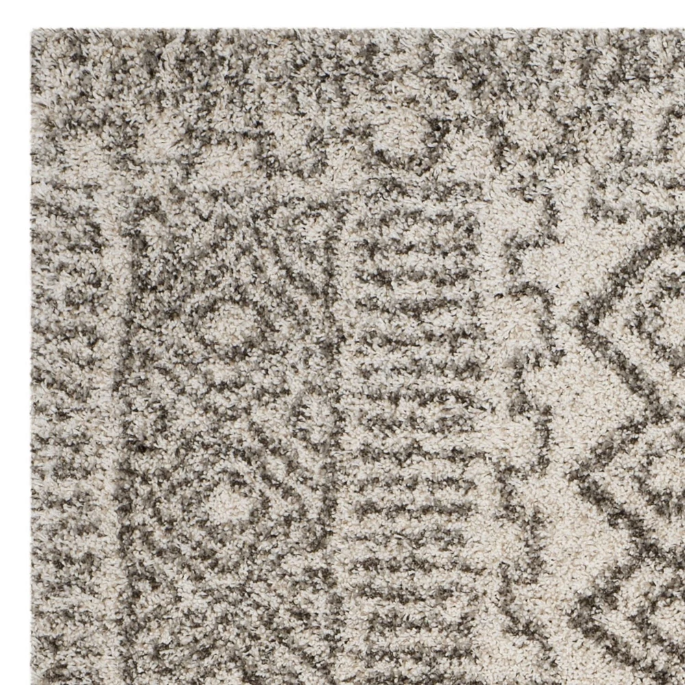 SAFAVIEH Hudson Raphael Contemporary Shag Area Rug