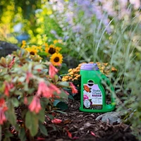 Engrais pour plantes Miracle-Gro Shake n Feed Ultra Bloom - 2,04kg Fertilise jusqu'à trois mois.