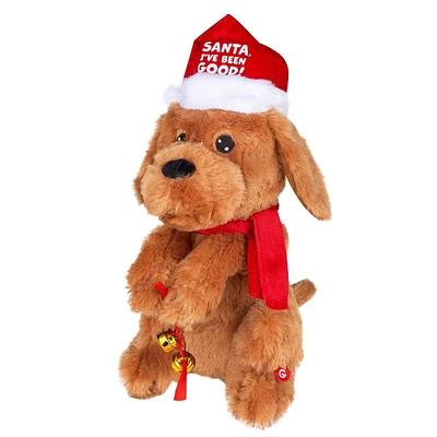 Begging Christmas Labradoodle