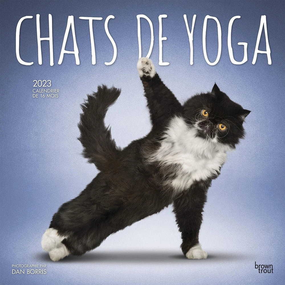 Chats de Yoga 2023 Square FRENCH BTCA