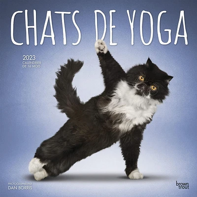 Chats de Yoga 2023 Square FRENCH BTCA