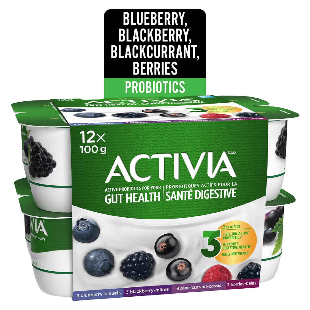 Activia Probiotic Yogurt, Blackberry/Blueberry/Blackcurrent/Berries, 12 x 100 g