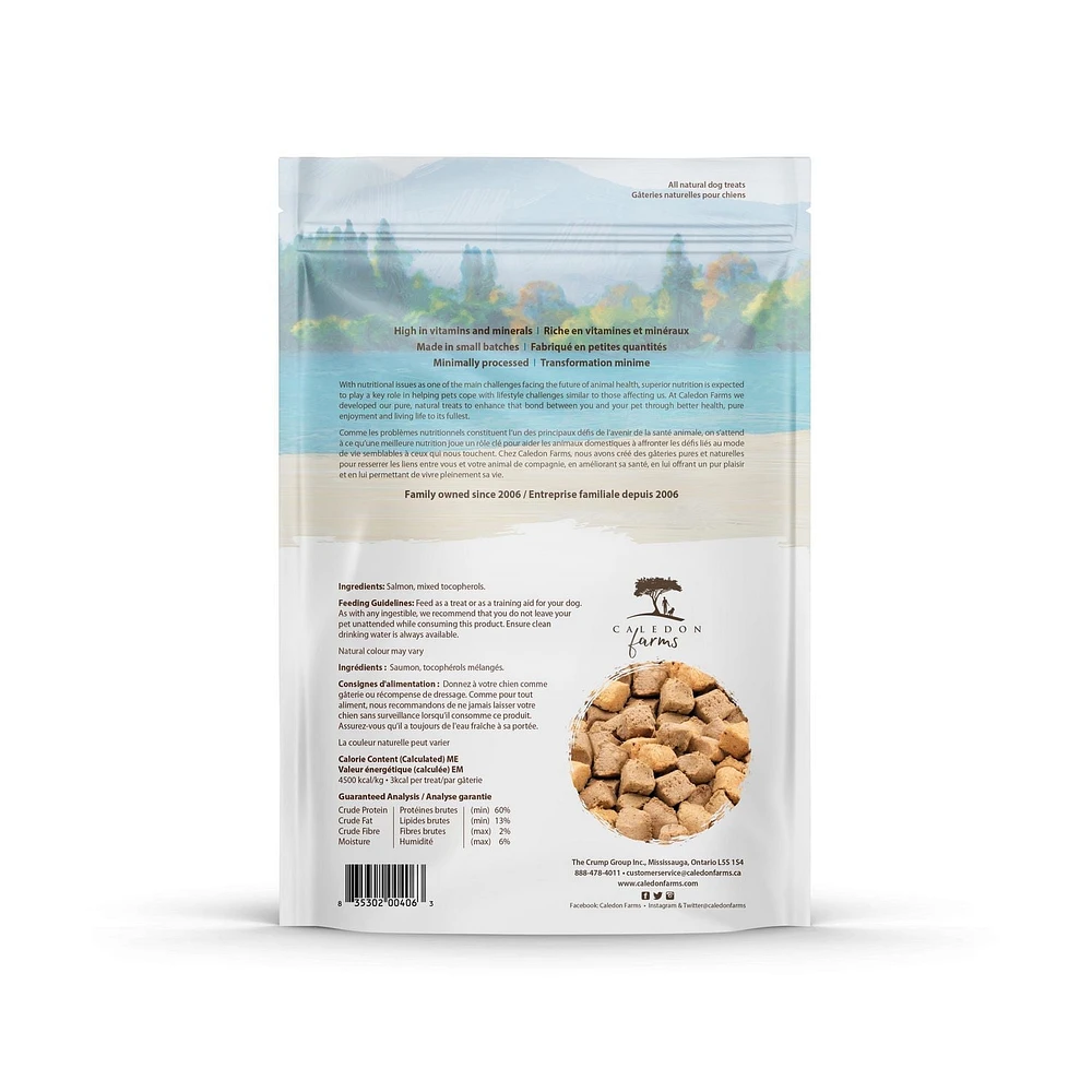 Caledon Farms Freeze Dried Salmon Bites Dog Treats, 90g