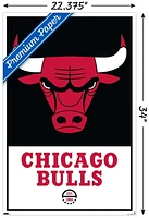 NBA Chicago Bulls - Logo 21 Wall Poster, 22.375" x 34" Framed