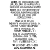 Minute Maid Fruit Blend Juice 200mL carton 8 pack