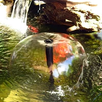 KoolScapes 200 GPH Pond Pump with 2 Interchangeable Fountain Nozzles, Outdoor Water Feature for Garden