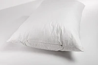Earthy Comfort Down Alternative Cotton Pillow  - Queen