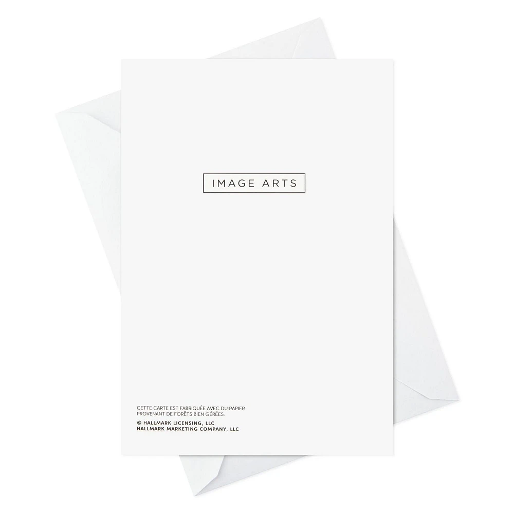 Boîte de 18 cartes de Noël Image Arts (Flocons de neige élégants)