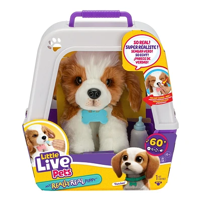 Petits animaux vivants Mon vrai chiot - Patches le Beagle 1 transporteur inclus