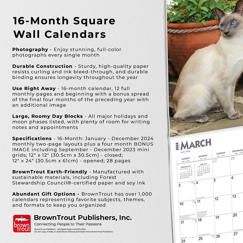 BrownTrout Siamese Cats 2024 12x24 Inch Square Wall Calendar, 9781975465056