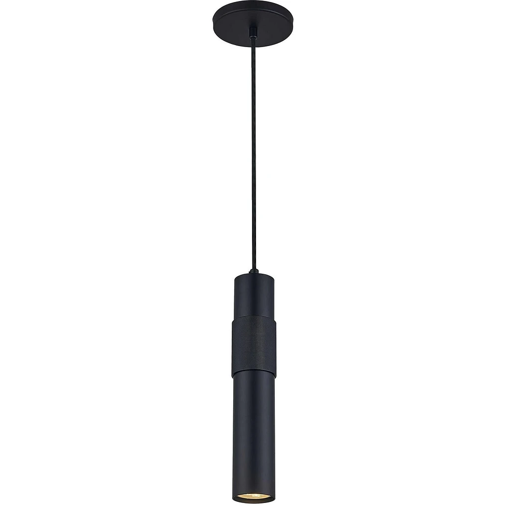 Passwell Pendant
