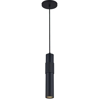 Passwell Pendant