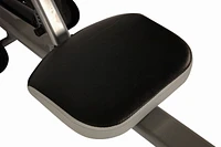 Stamina InMotion Rower