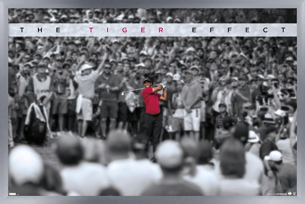Tiger Woods - L'effet tigre