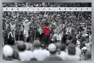 Tiger Woods - L'effet tigre