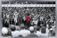 Tiger Woods - L'effet tigre