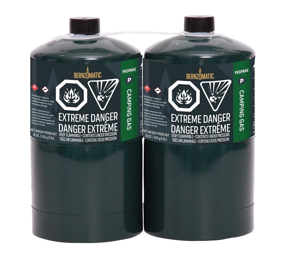 Bernzomatic Propane Camping Gas Cylinder - 2 Pack, Pack of 2
