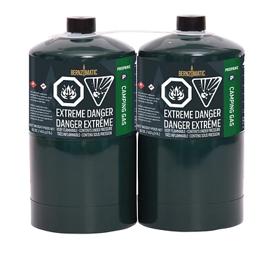 Bernzomatic Propane Camping Gas Cylinder - 2 Pack, Pack of 2