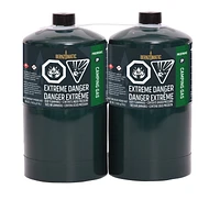Bernzomatic Propane Camping Gas Cylinder - 2 Pack, Pack of 2
