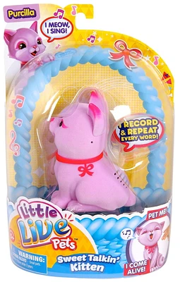 Little Live Pets Purrcilla Pet Toy