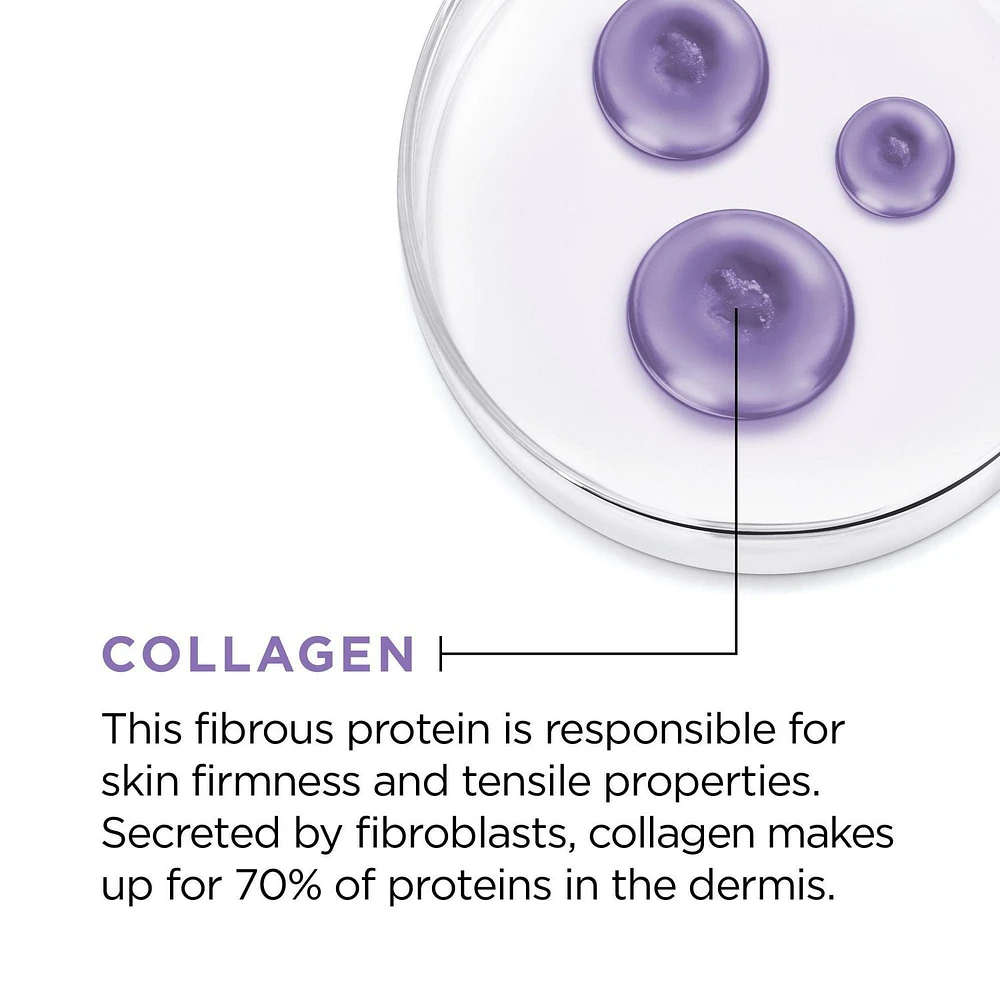 L'Oréal Paris Collagen Moisture Filler Anti-Aging Face Moisturizer, Day/Night Cream with Collagen, 100 mL
