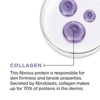 L'Oréal Paris Collagen Moisture Filler Anti-Aging Face Moisturizer, Day/Night Cream with Collagen, 100 mL
