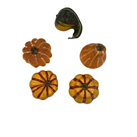 Way to Celebrate Orange & Green Baged Mini Pumpkin and Gourde 5pc