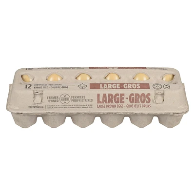 Nutri Large Brown Eggs, 12 count