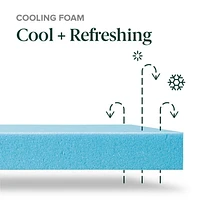 Zinus Nuit 8 Inch Cooling Memory Foam Mattress