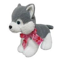 M GREY PUPPY