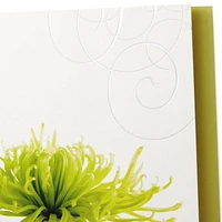 Cartes de condoléances assorties Hallmark (fleurs)