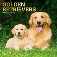 Golden Retrievers | 2023 12x24 Inch Square Wall Calendar