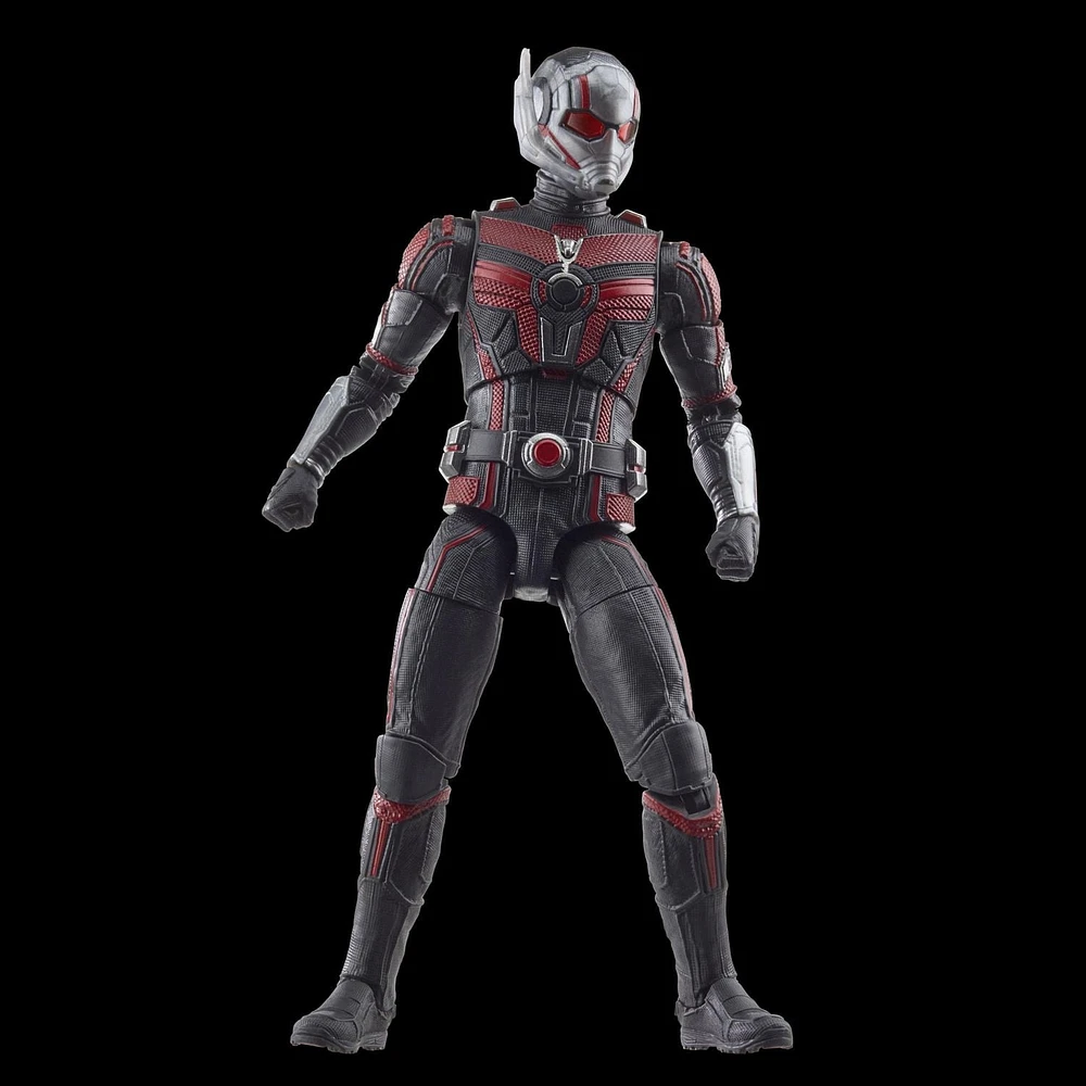 Hasbro Marvel Legends Series Ant-Man, Ant-Man & the Wasp: Quantumania Collectible 6 Inch Action Figures, Ages 4 and Up 