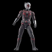 Hasbro Marvel Legends Series Ant-Man, Ant-Man & the Wasp: Quantumania Collectible 6 Inch Action Figures, Ages 4 and Up 
