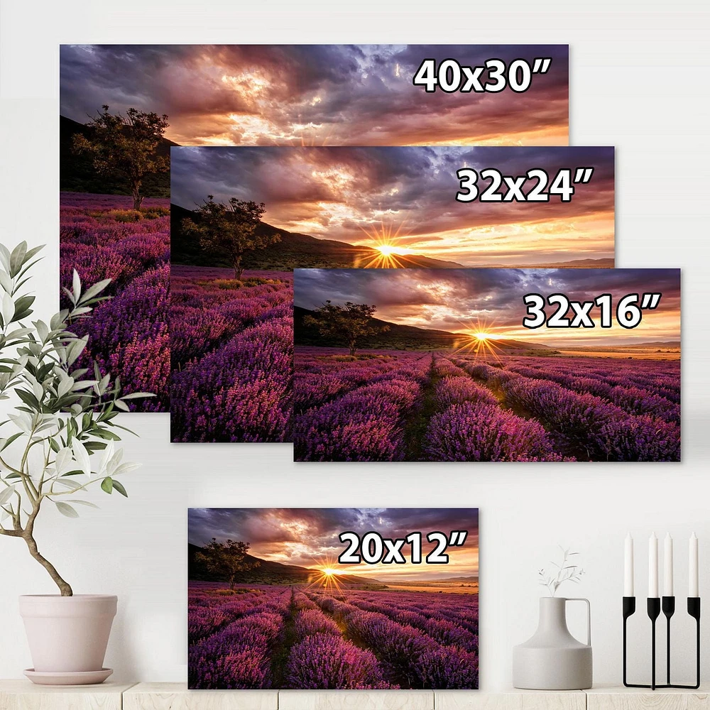 Designart Lever du soleil et nuages ​​dramatiques sur le champ de lavande IV Art mural sur toile