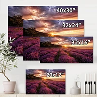 Designart Lever du soleil et nuages ​​dramatiques sur le champ de lavande IV Art mural sur toile