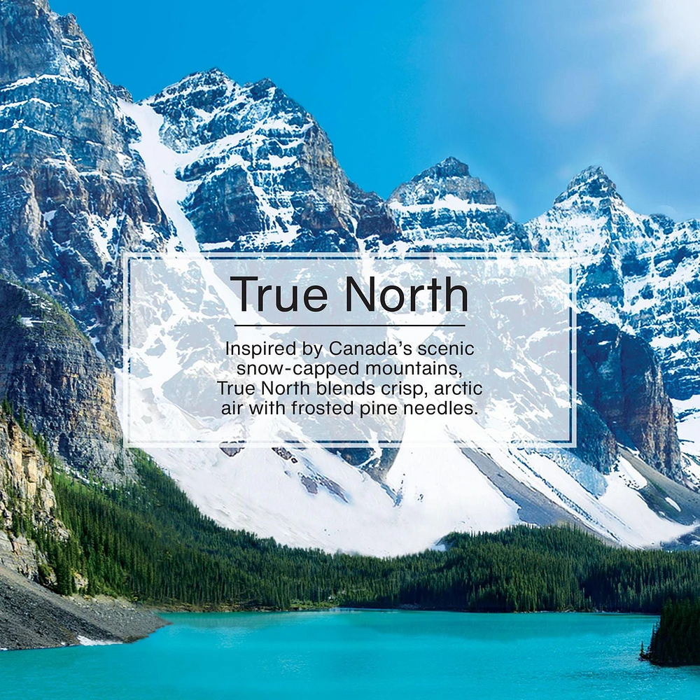 Assainisseur d'air LITTLE TREES True North 3-Pack LT True North, paquet de 3