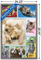 Keith Kimberlin - Puppies and Kittens Collage Wall Poster, 22.375" x 34"