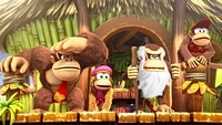 Changer le Pays de Donkey Kong : Gel Tropical [Télécharger]