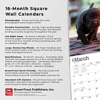 BrownTrout Chocolate Labrador Retriever Puppies 2024 12x24 Inch Square Wall Calendar, 9781975463564